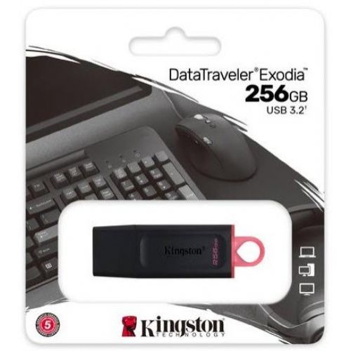 Kingston DataTraveler Exodia DTX/256GB Flash Drive USB 3.2 Gen 1 tassa siae inclusa